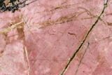 Polished Rhodonite Slab - Northern BC #112720-1